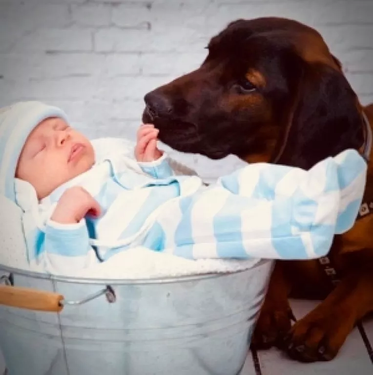 Farmacia Crisia prepara si tratamente personalizate de uz veterinar