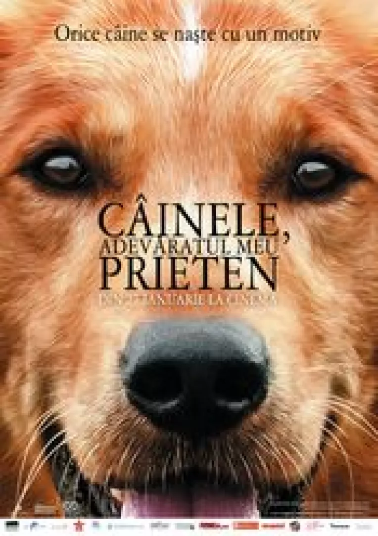 Filmul Cainele, adevaratul meu prieten!, ecranizare a indragitului roman de W. Bruce Cameron