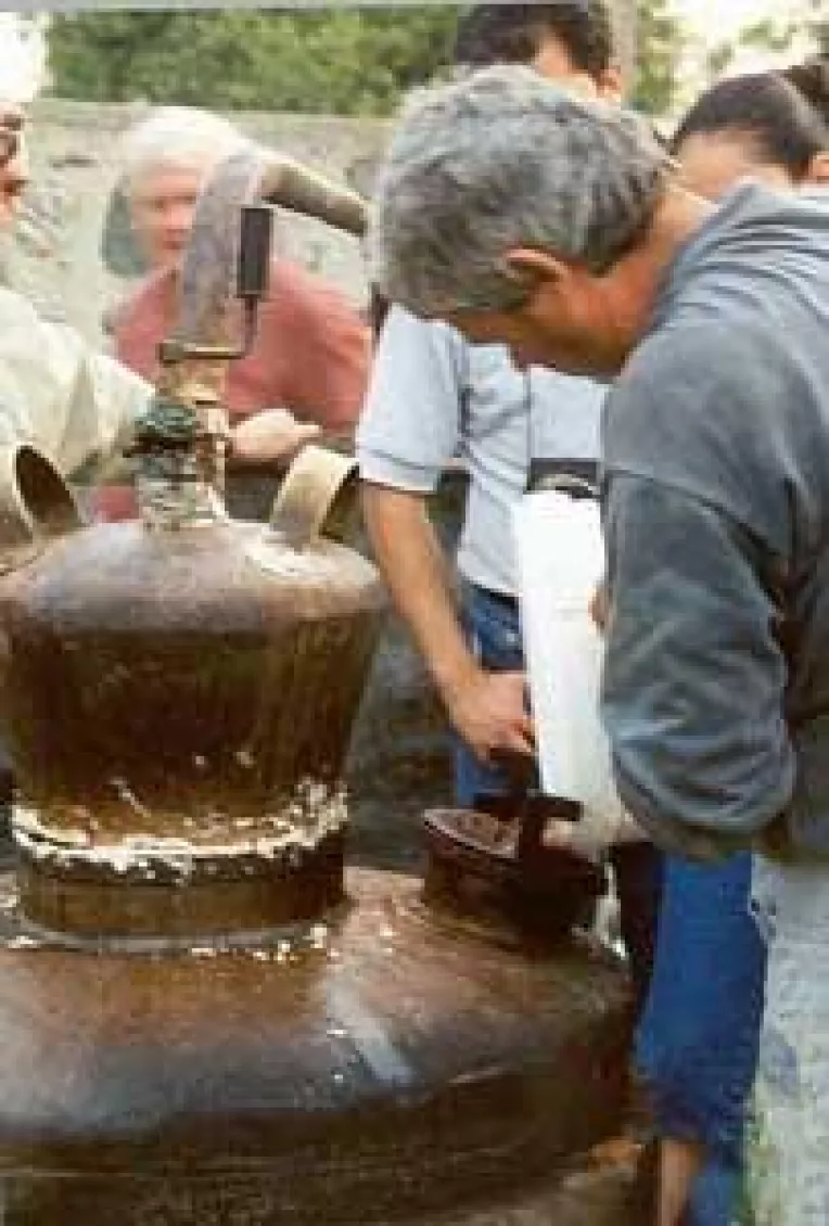 Fiscul nu stie cum sa-i controleze pe micii producatori. "Liber" la tuica din gospodarie