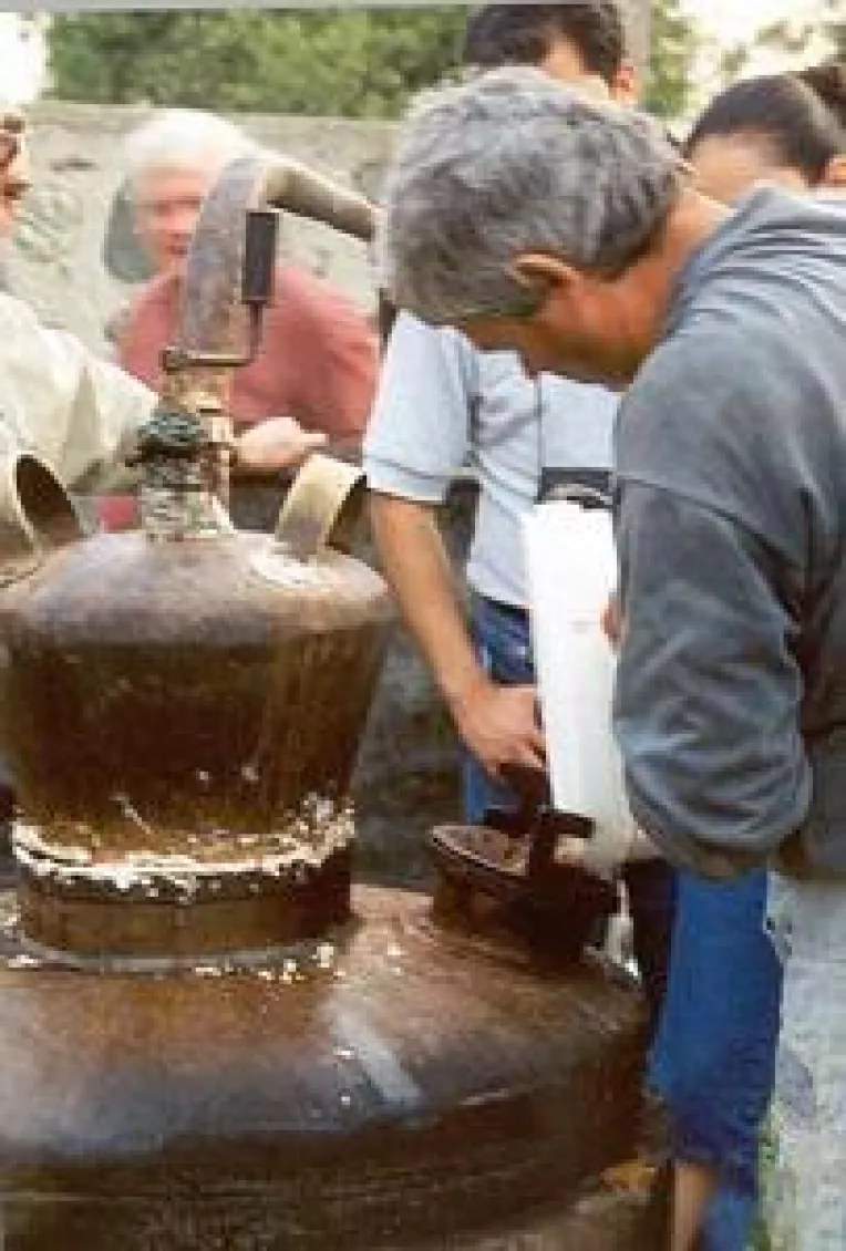 Garda financiara, pe urma distileriilor din gospodarii. Tuica accizata da dureri de cap producatorilor