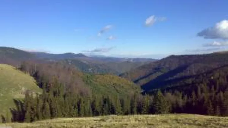 Milioane de hectare au nevoie de custozi si finantare