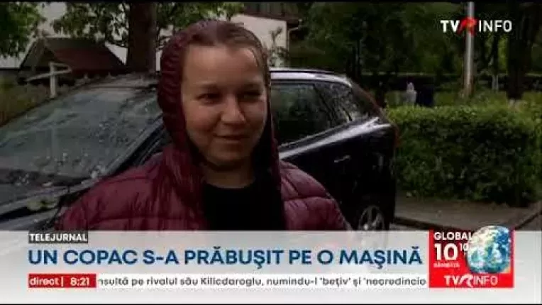 O furtuna rapida a daramat copaci si a inundat locuinte la Cluj