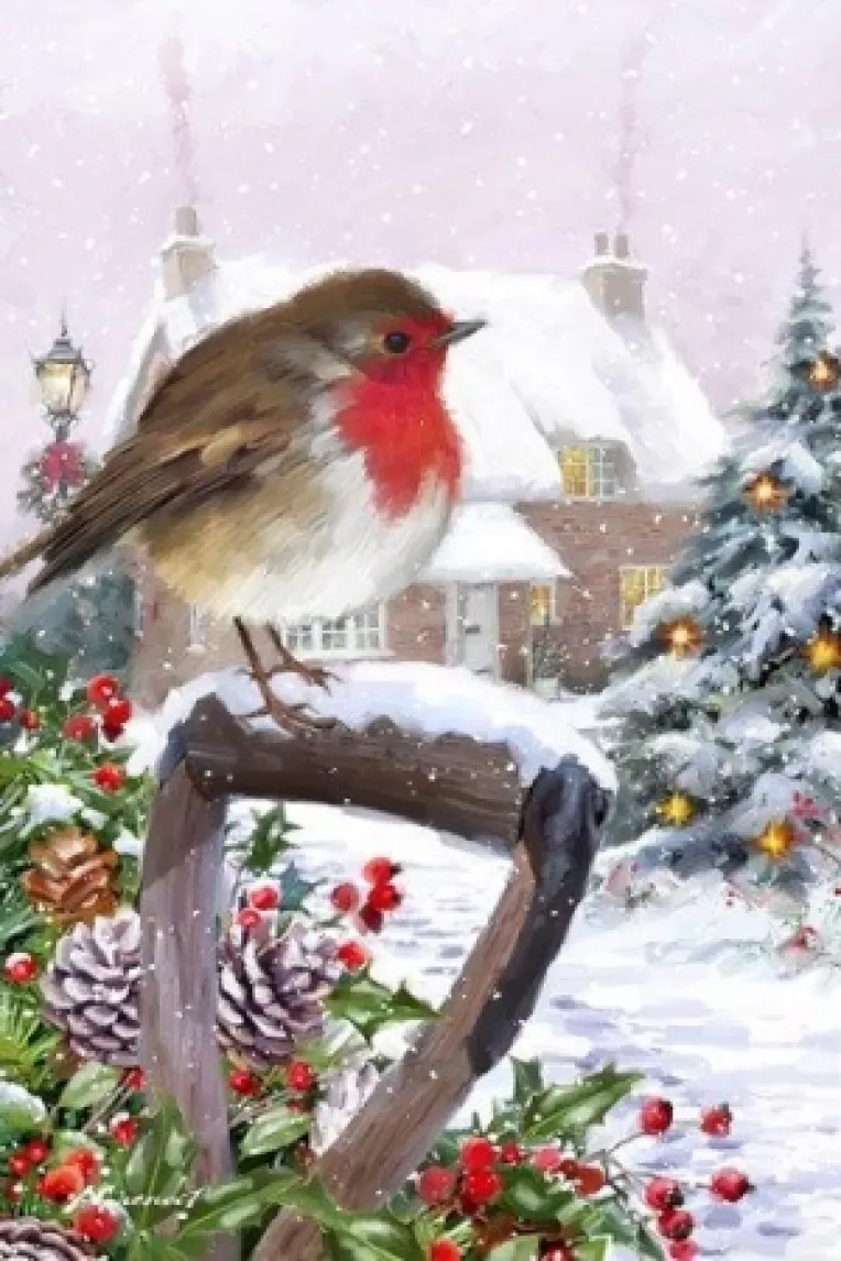 Prognoza meteo pentru luna decembrie 2019