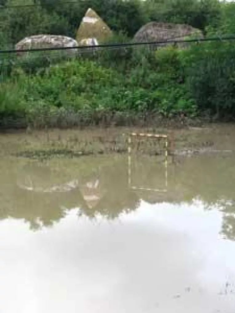 Proprietarii culturilor calamitate vor fi despagubiti