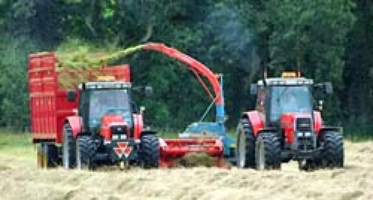 Sapard si-a prezentat bilantul pe 2004