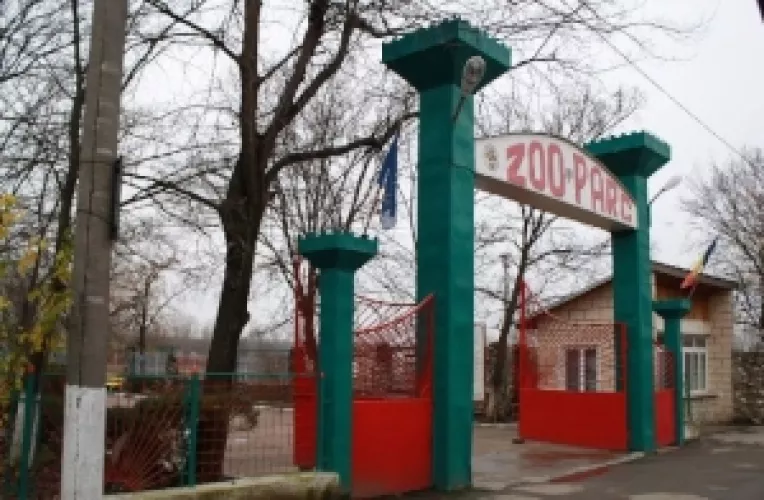 Un Proiect privind Promovarea Gradinii Zoologice Calarasi poate fi descarcat contra sumei de 5 Euro