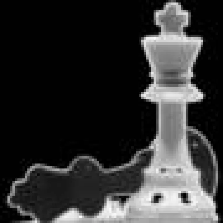 USL muta si ii da sah mat lui Basescu